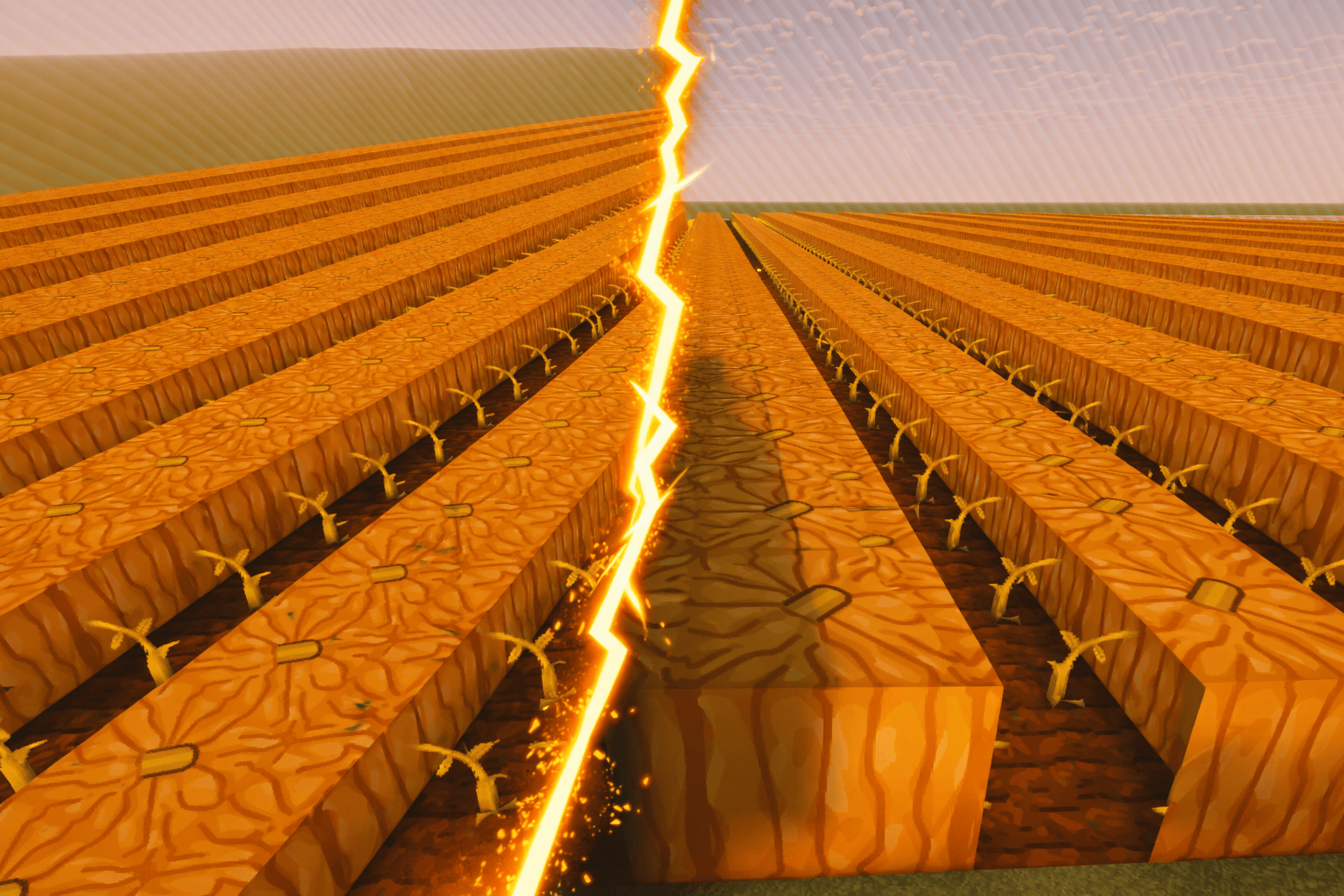 Champs de Citrouille