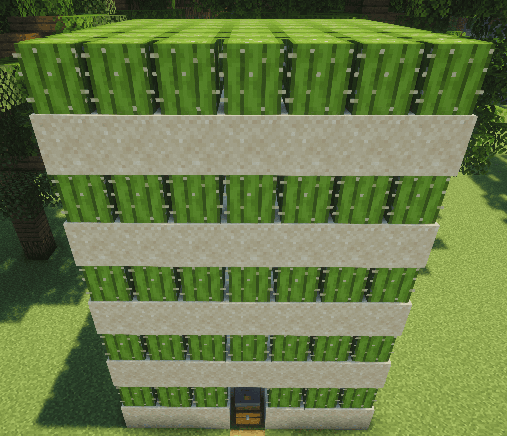 Niveau 2 – Cactus côte à côte