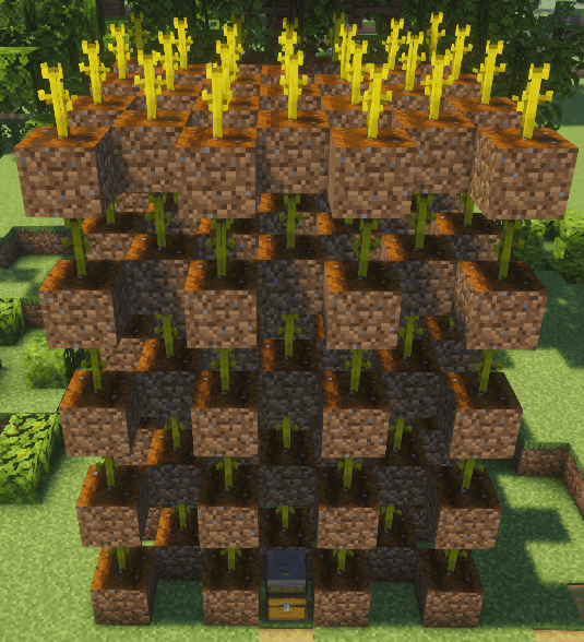 Niveau 1 – Disposition classique