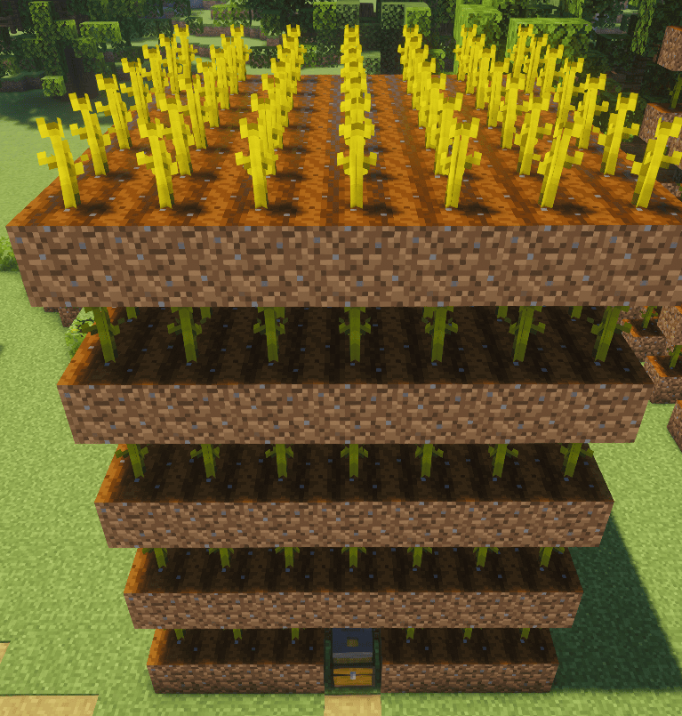 Niveau 2 – Melons côte à côte avec Houe de Plantation