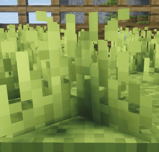 Fougère – source d’obtention des Wither Roses